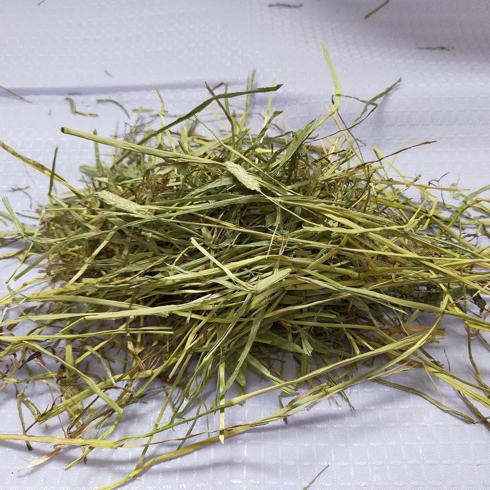 【1/14まで】 US産 チモシー 50kg ２番刈り ソフトSプレミアム