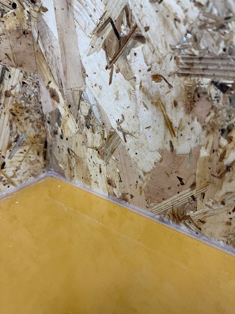 なな　【OKACAGE】爬虫類ケージ　1200×600×450 OSB