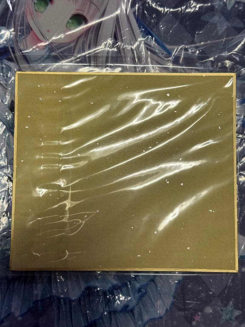 神聖かまってちゃん LIVE DVD記録映像 限定 写真 サイン付き