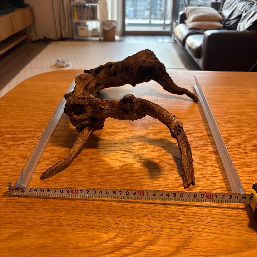 【早い者勝ち】ADA流木3本、他流木2本