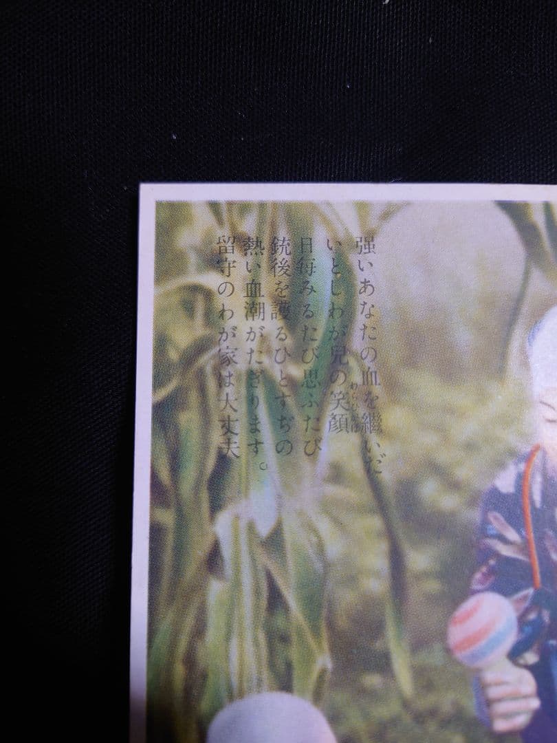 超希少品！ 【事変一年 陸軍省発行 絵葉書】