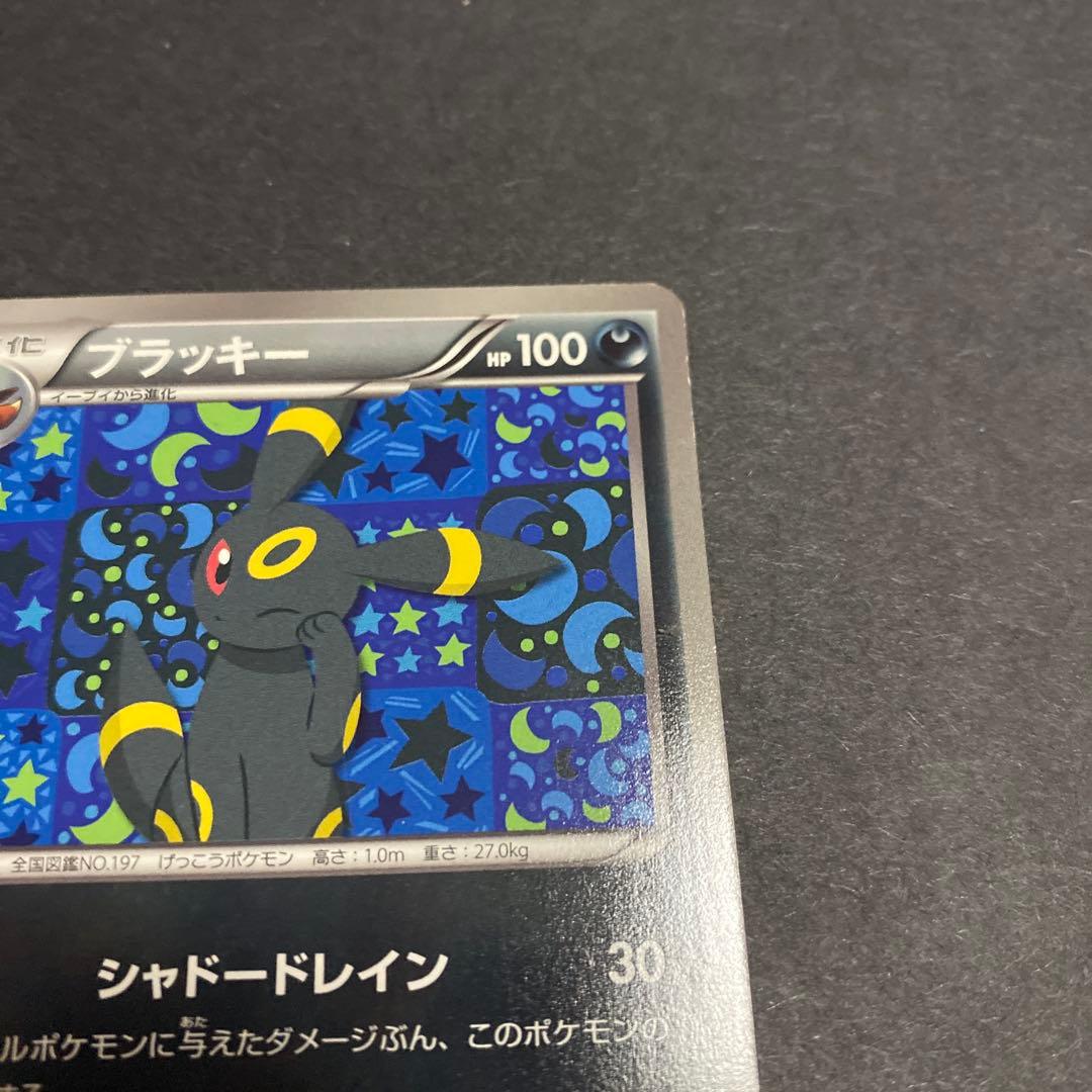 ブラッキー　イーブイファイルコレクション　188/BW-P