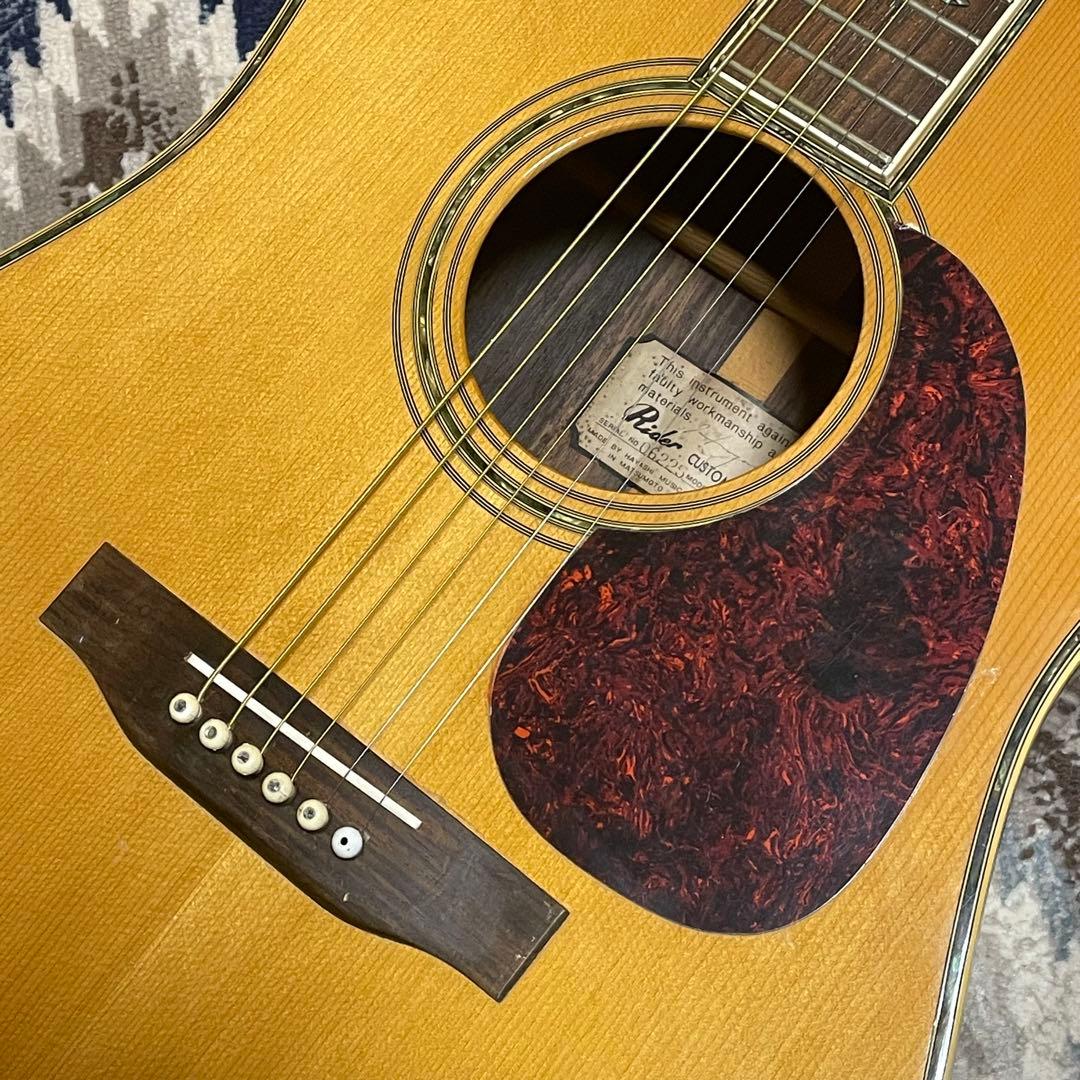 Rider R-500D Martin D-45風 Headway Momose