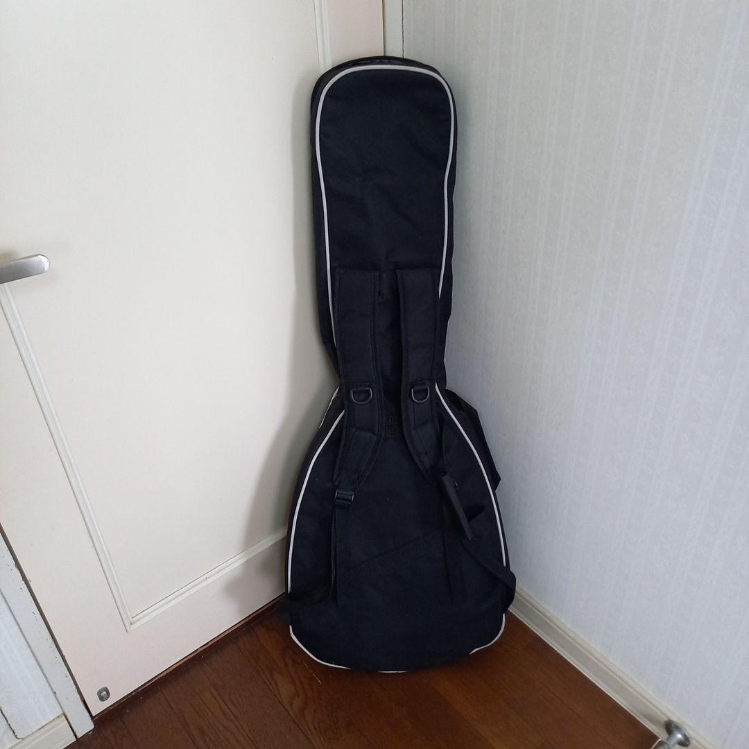『比較的美品』Epiphone by Gibson Les Paul 100