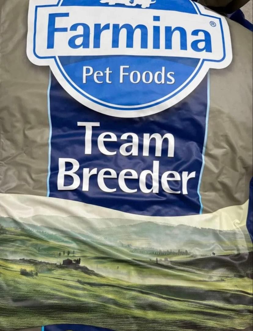 ファルミナ　ワイルドボアアップル入り　猫用　10kg