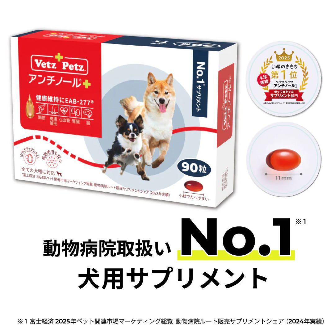 アンチノールプラス 90粒　未開封　20時まで即時発送可能