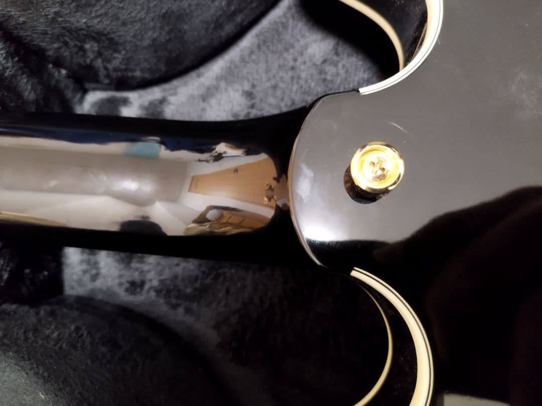 ギター Epiphone Lucille