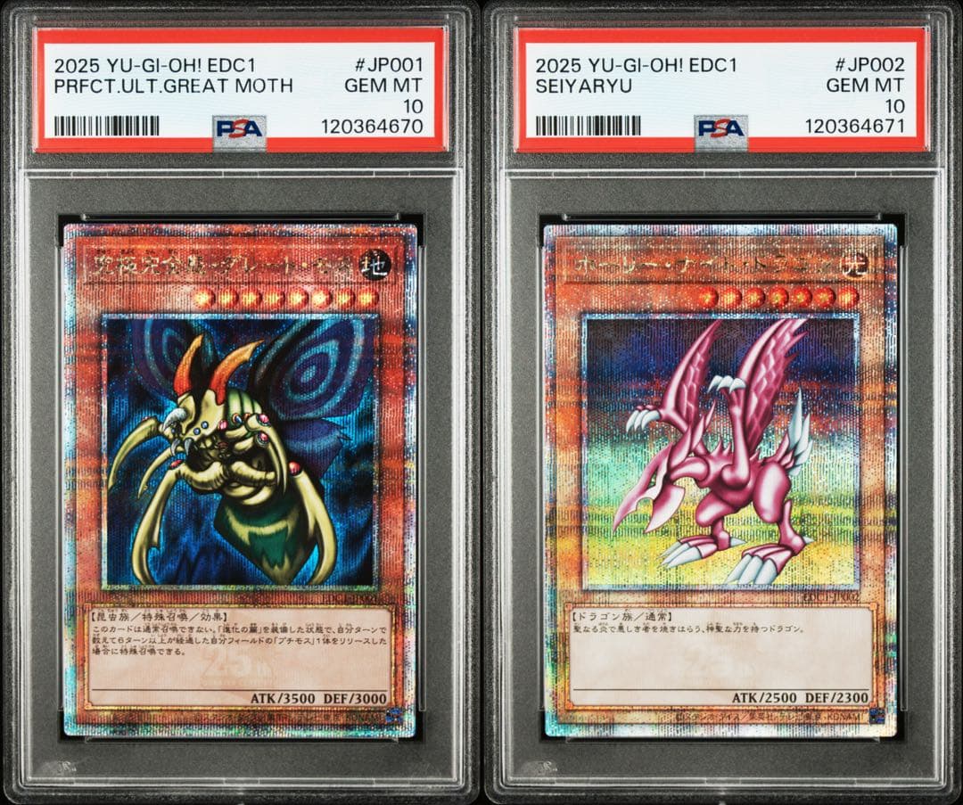 【2連番PSA10】究極完全態 グレートモス ホーリーナイトドラゴン 2枚セット