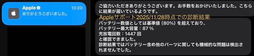 iPad本体 iPadPro11 Wi-Fi+Cellular 256GB