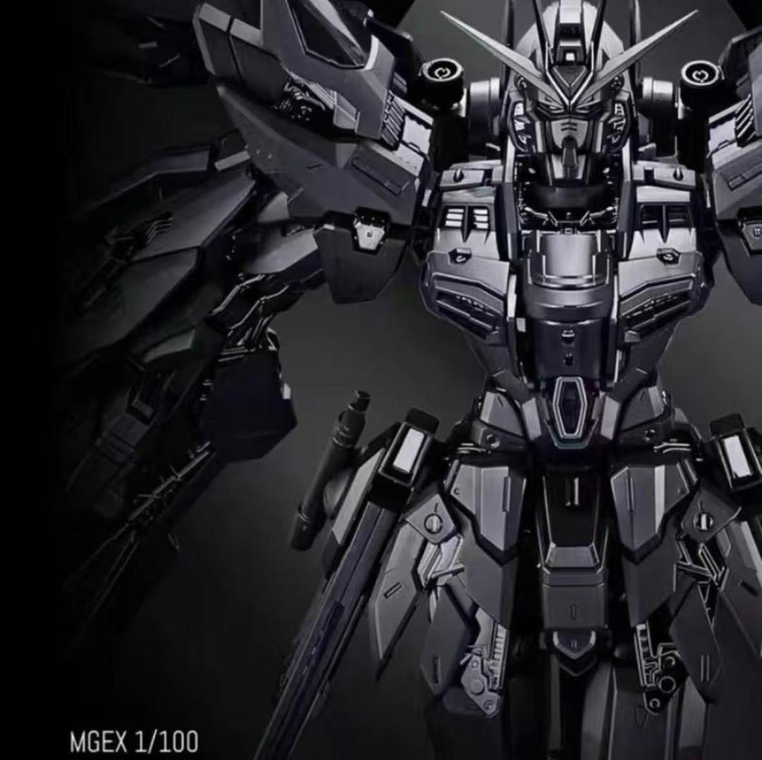 1/100ストライクフリダムガンダムブラック色(新品)
