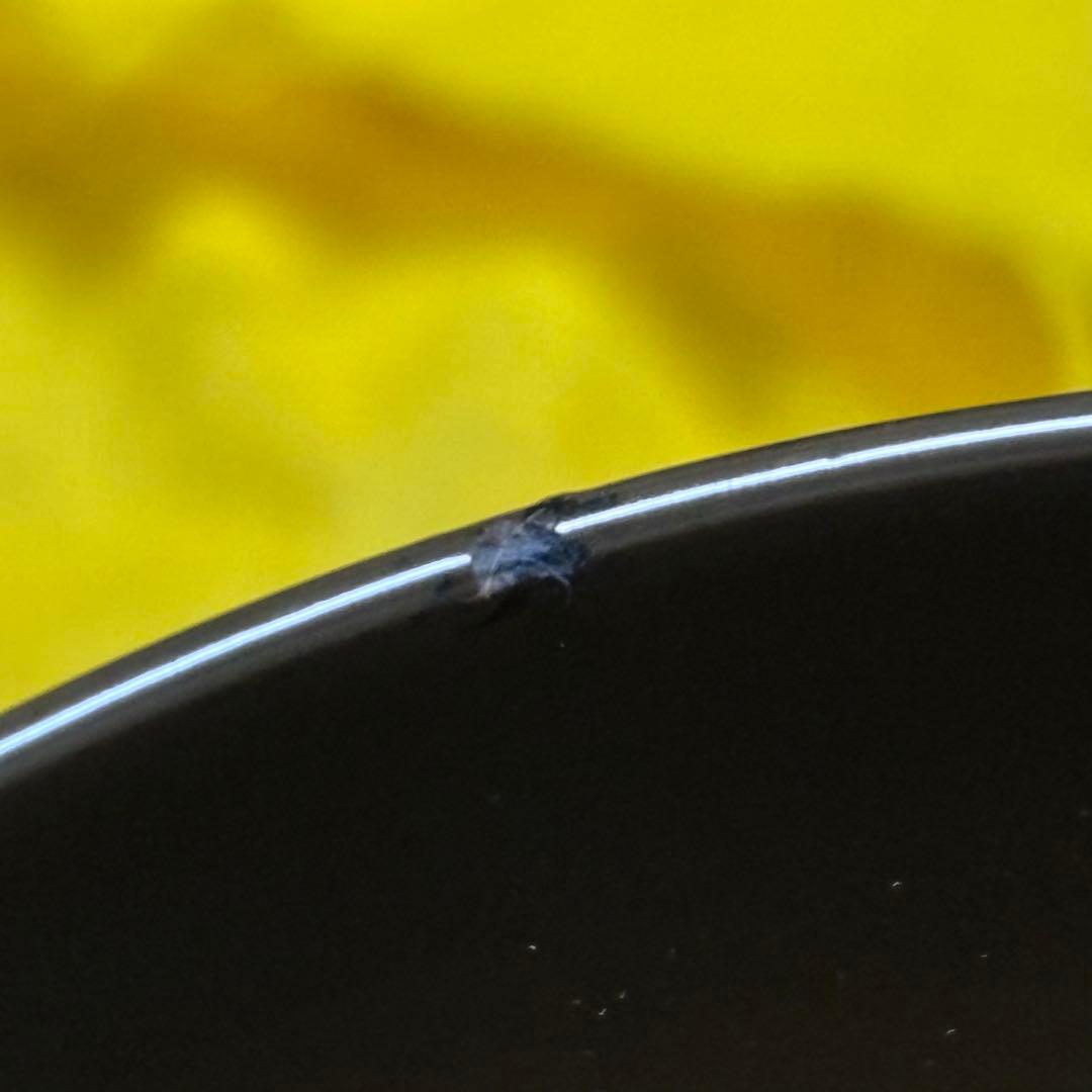漆器 椀 10客セット 紅葉 小吸物椀 共箱 懐石 昭和レトロ アンティーク