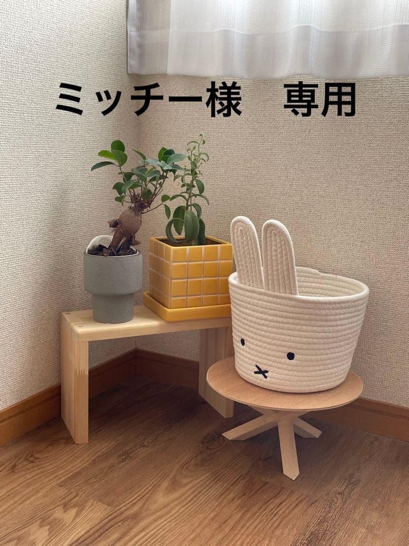 ミッチー