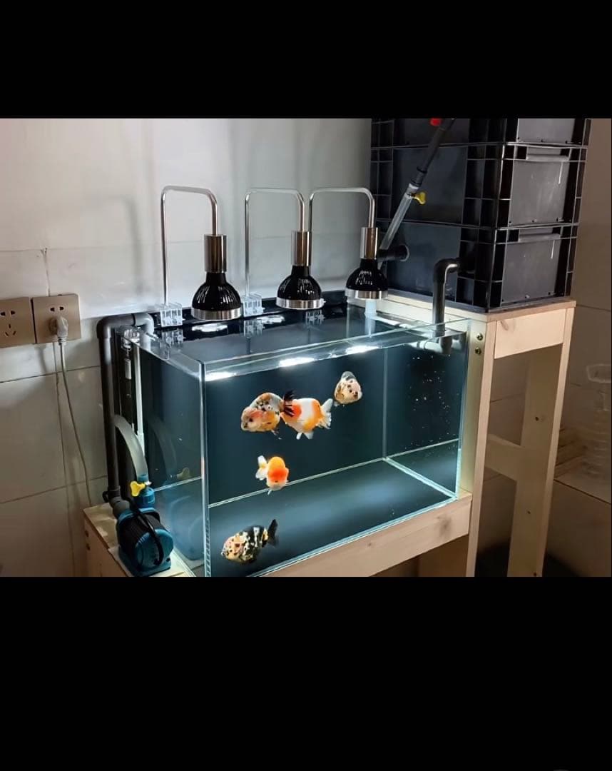 万能濾過お任せ濾過材付きフルセット 水槽池用濾過器フィルター大型水槽濾過装置