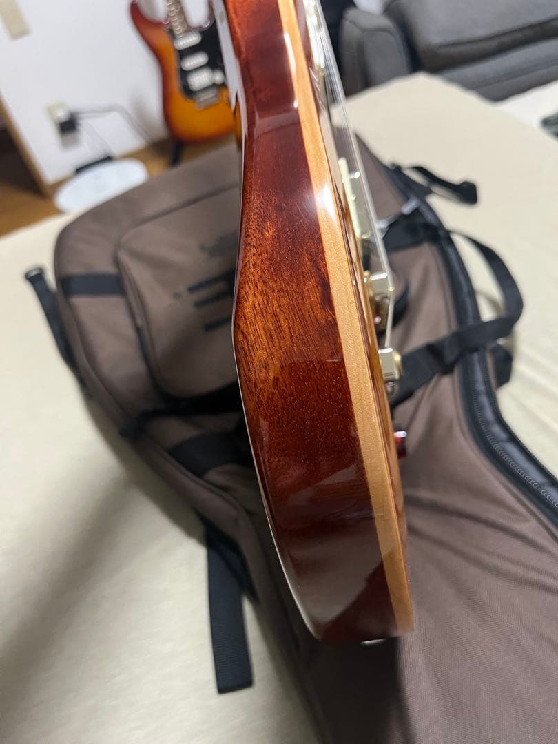 ※ヒロ　　PRS SE McCarty 594