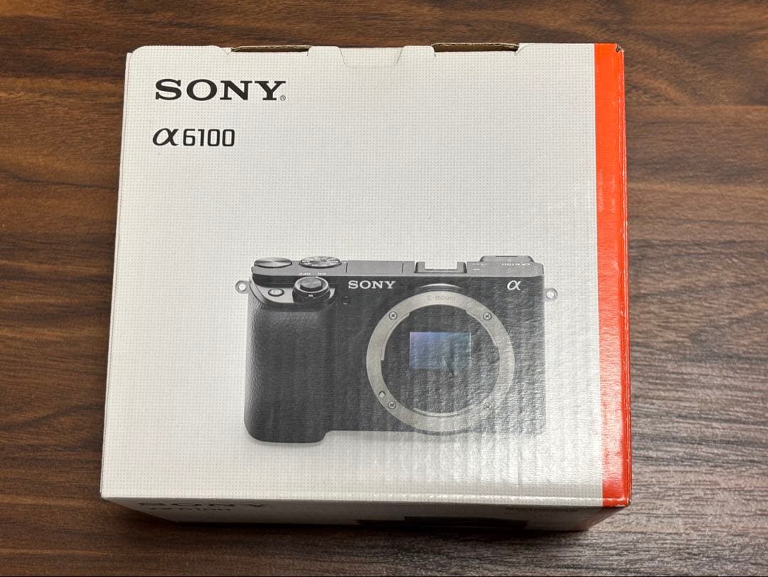 ソニー ミラーレス一眼カメラ α6100 +純正充電器・バッテリー