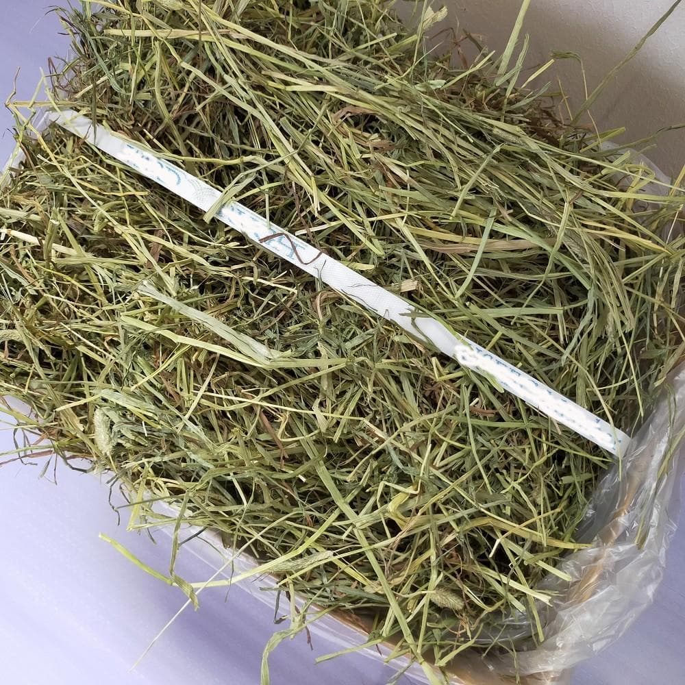 【2/9まで】US産 チモシー 30kg ２番刈り ソフトSプレミアム