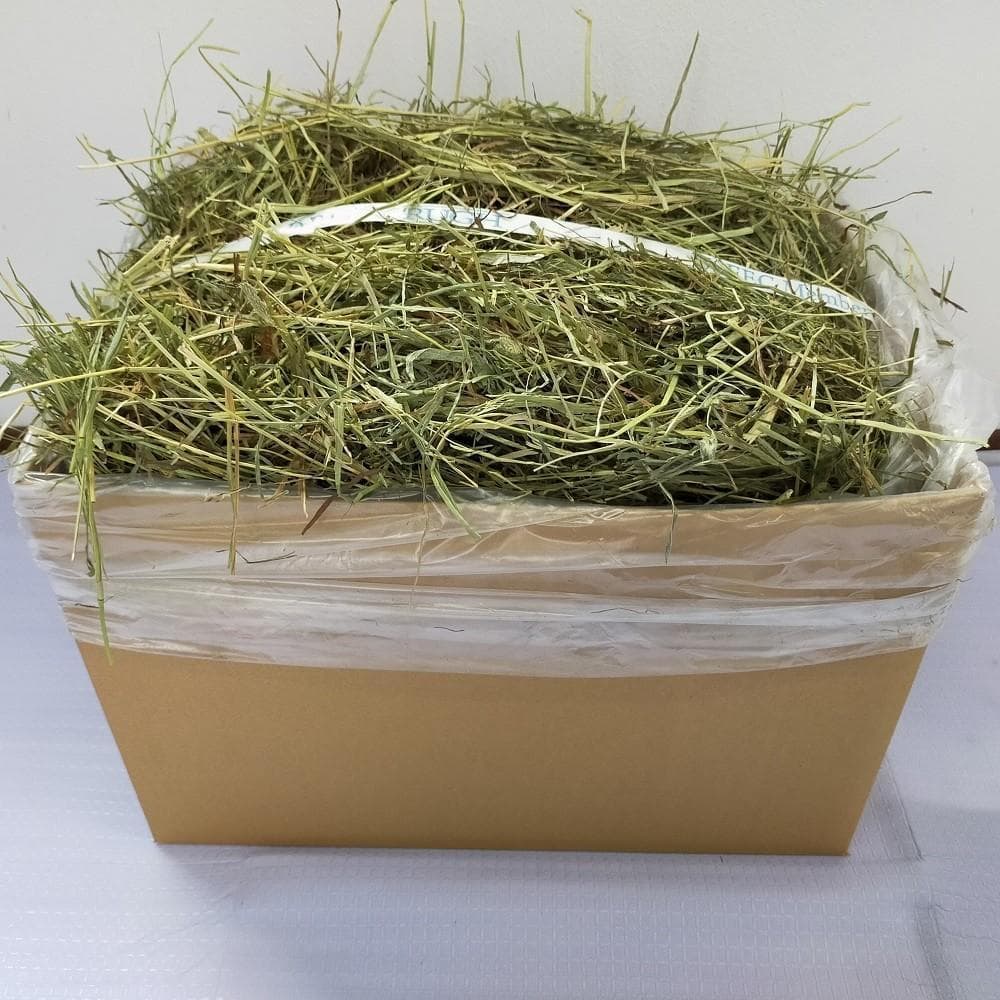 【2/9まで】US産 チモシー 30kg ２番刈り ソフトSプレミアム