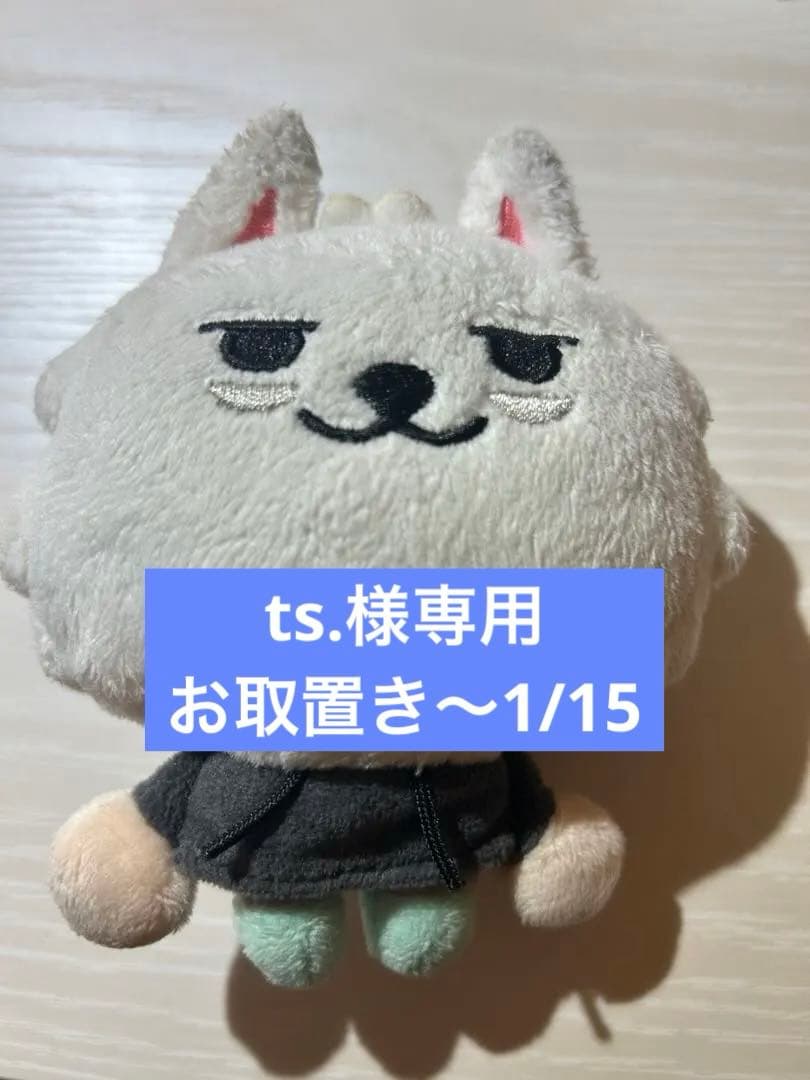 アイドル ts.