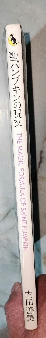 内田善美 イラスト集 2冊セット