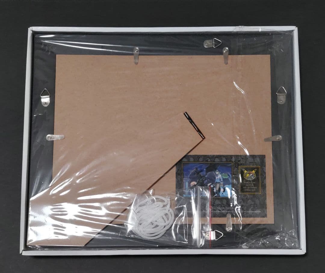 ポケモン コレクタブルアート Nのゼクロム