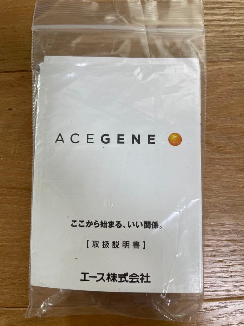 【美品】 ACE GENE ビジネストローリー 2輪 機内持ち込み