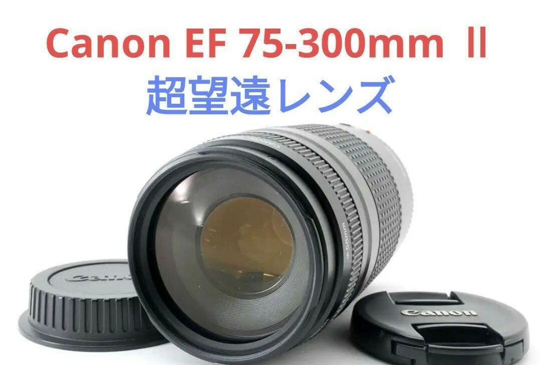 9月23日限定特価♪【超望遠レンズ】Canon EF 75-300mm Ⅱ