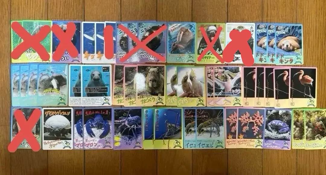 TOBA AQUARIUMコレクションカード 鳥羽水族館　コレバラ売り