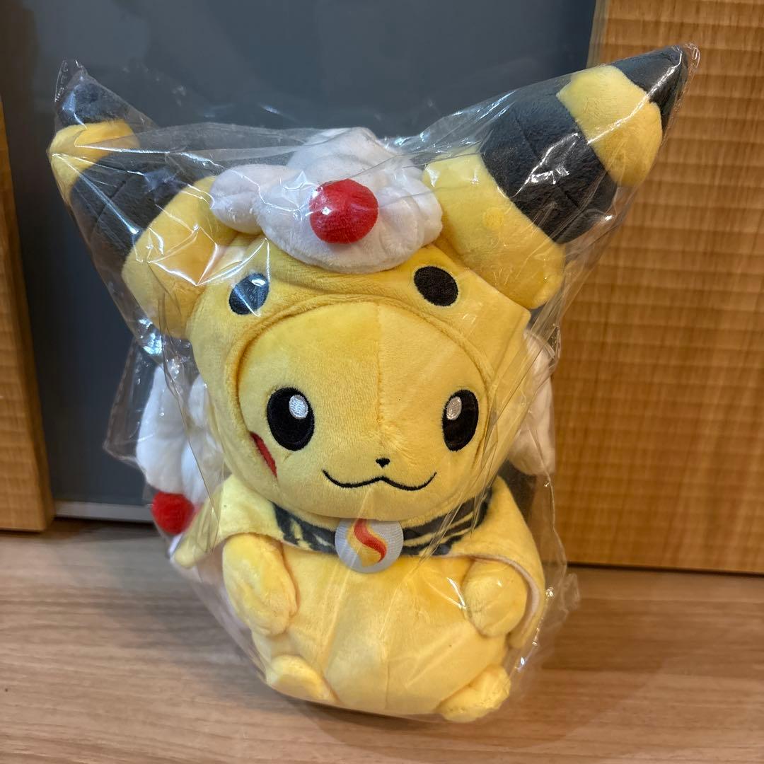 ポケモン ぬいぐるみ メガデンリュウ ポンチョ ピカチュウ ポケモンセンター