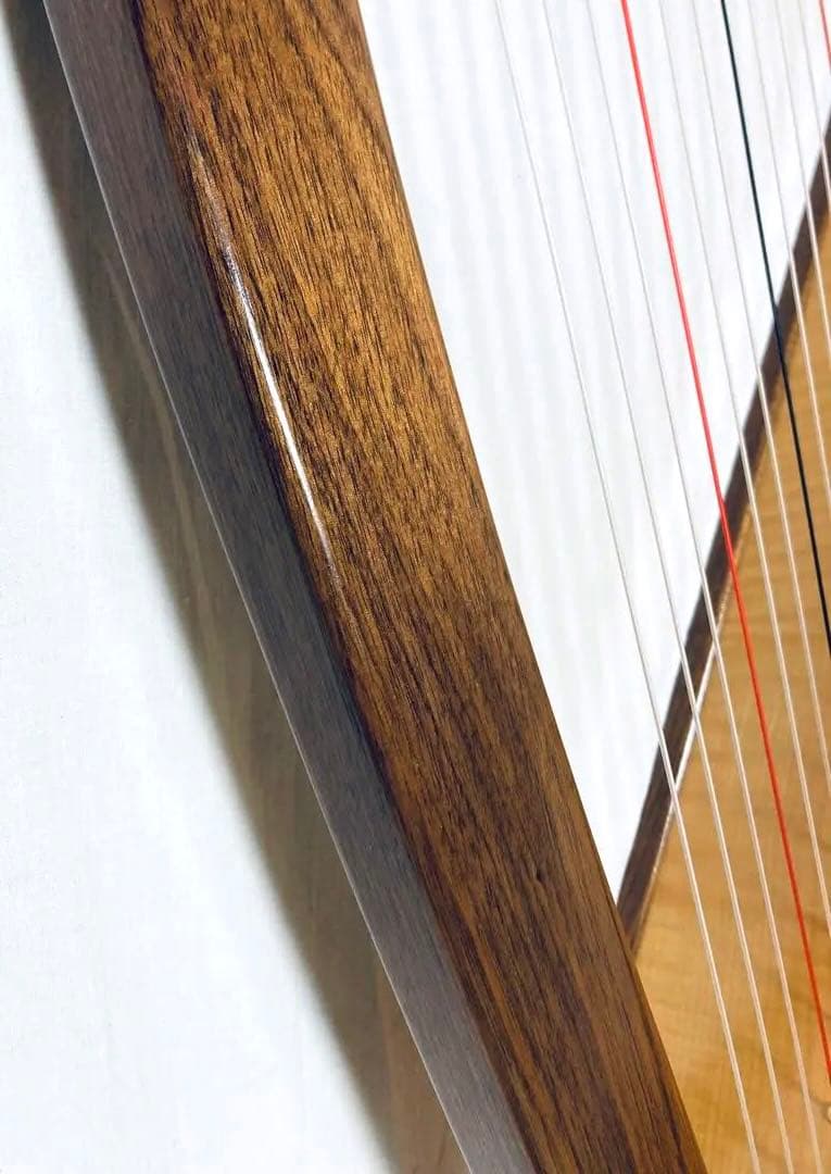 AOYAMA 25S 青山ハープ 25弦 コンパクト ノンペダル ケース付