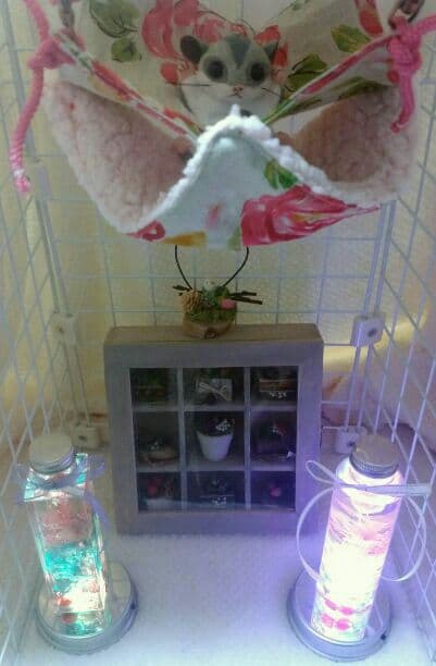 モモンガハウス(大きい花柄) ボアピンク   2100円