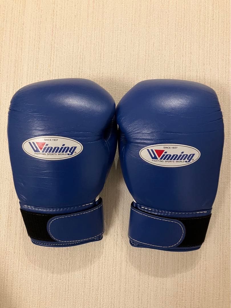 winning ウィニングボクシンググローブ ブルー 10オンス MS-300B