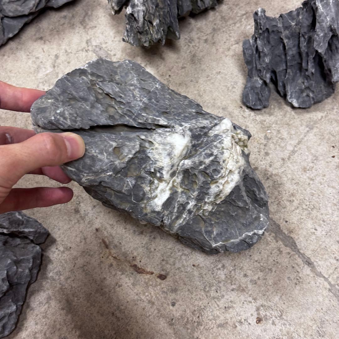 ADA龍王石 竜王石　セット　良型　1