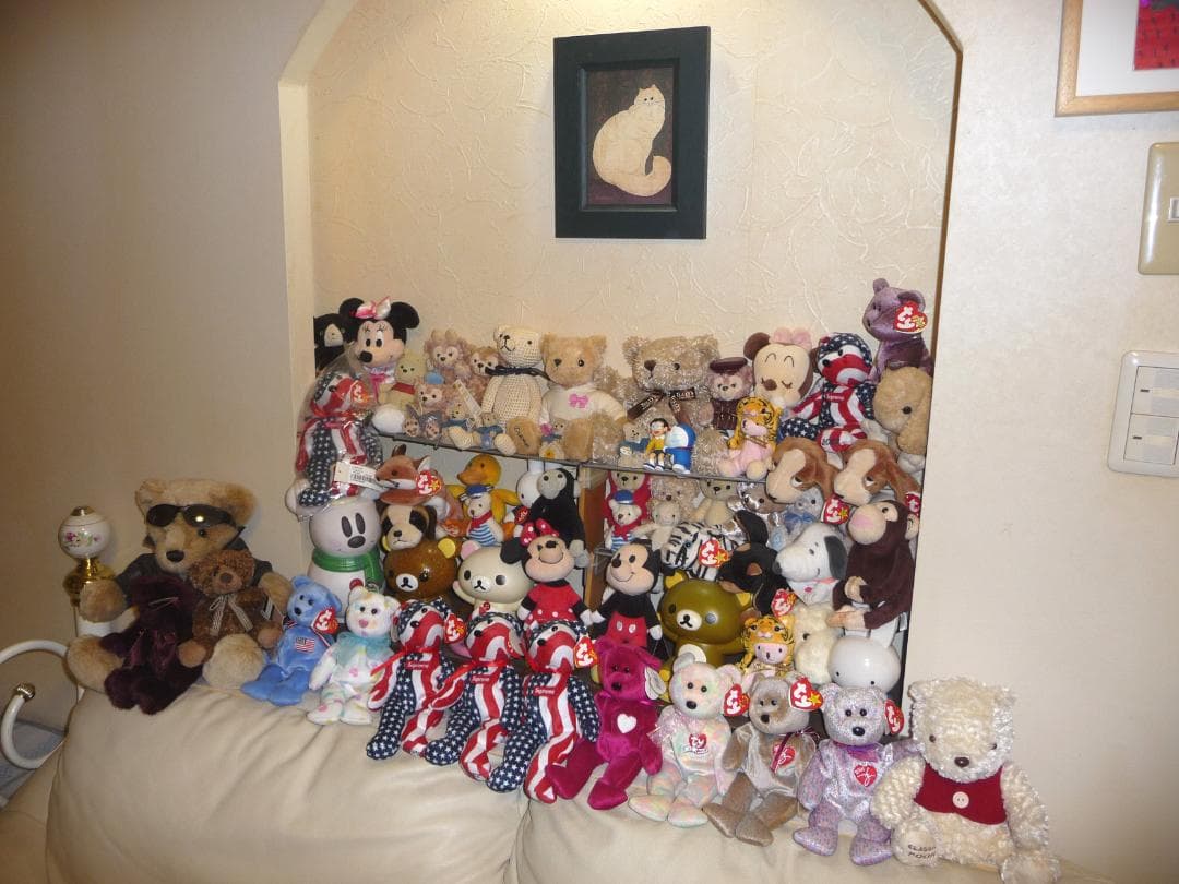 LUMIX★DMC-TZ5⭕️実働品⚠️必読有★光学10倍ズーム★910万画素