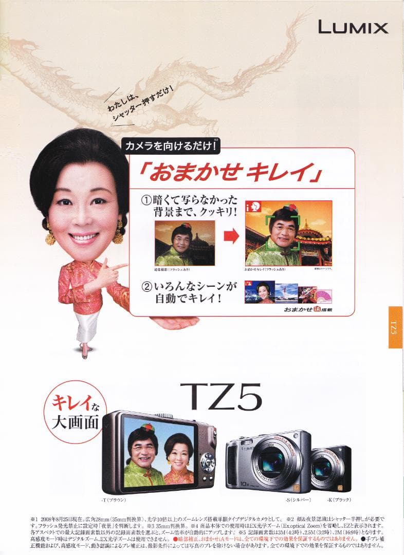 LUMIX★DMC-TZ5⭕️実働品⚠️必読有★光学10倍ズーム★910万画素