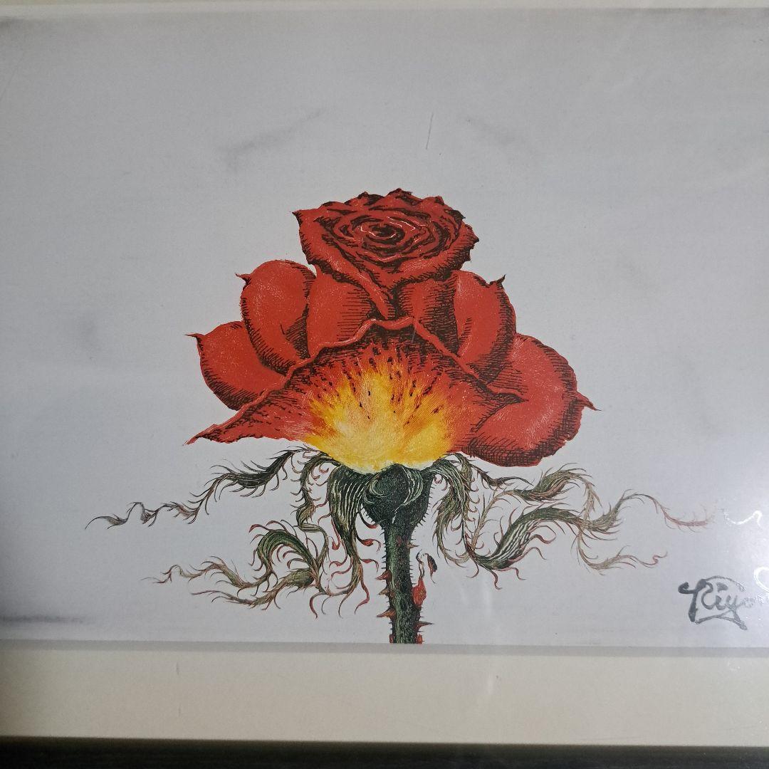 小澤清人