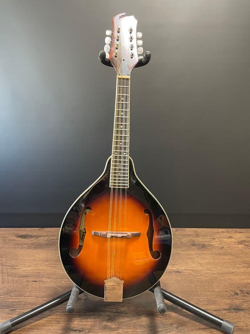 ジェームス James マンドリン JAM300BS ケース付き