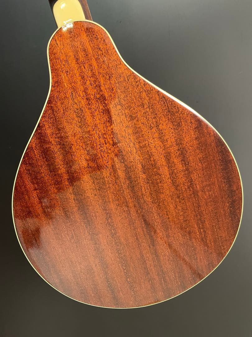 ジェームス James マンドリン JAM300BS ケース付き