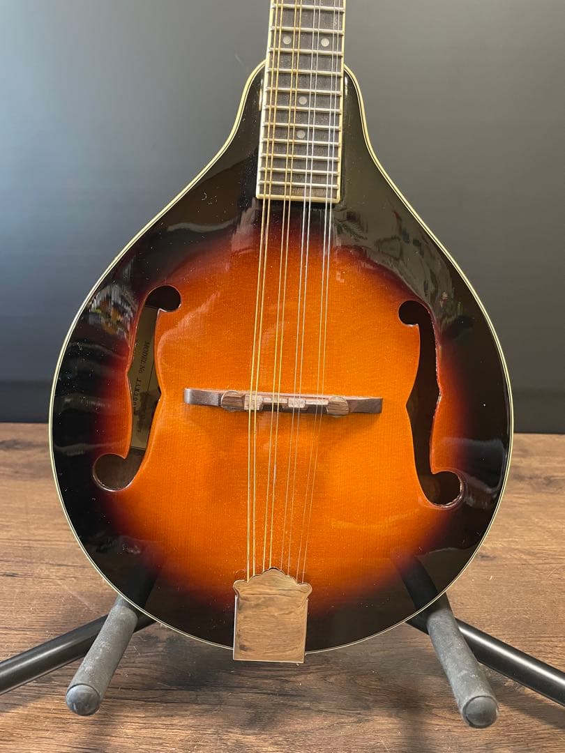 ジェームス James マンドリン JAM300BS ケース付き