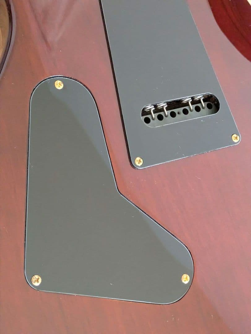 PRS ポールリードスミス SE エレキギター