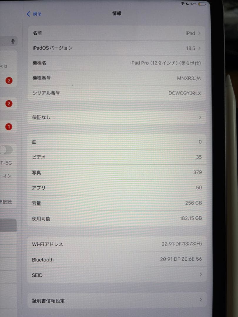 iPad Pro (12.9インチ) 第6世代 256GB