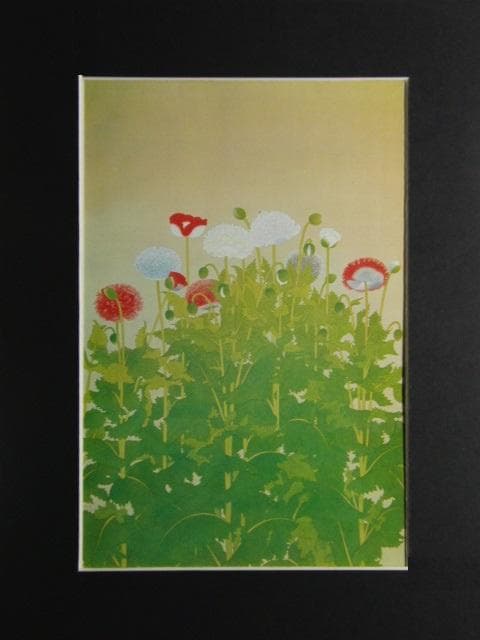 土田麦僊、【罌粟】、希少な画集画、新品高級額・額装付、状態良好