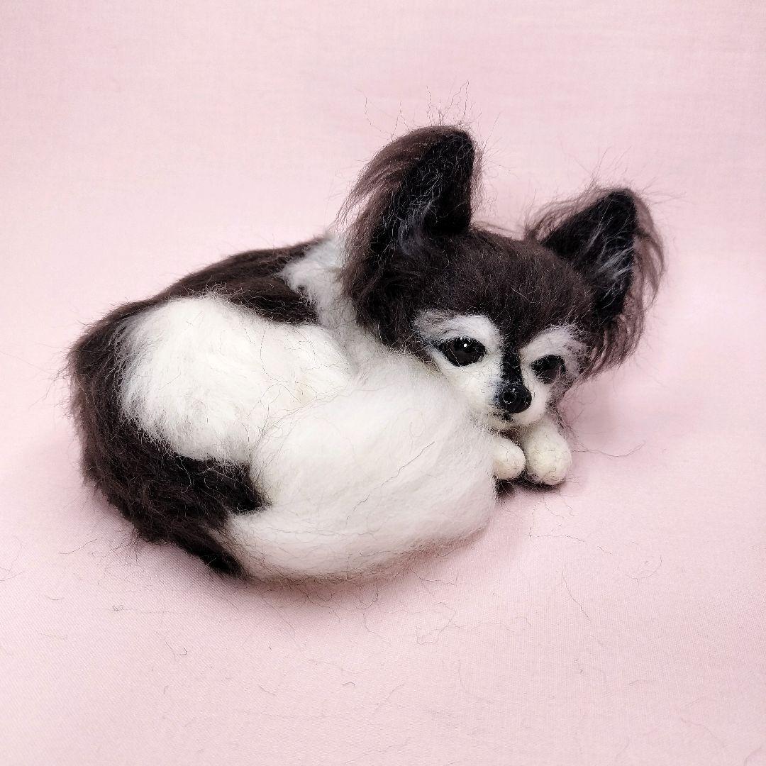あきゅら様 羊毛フェルト チワワ ハンドメイド 犬