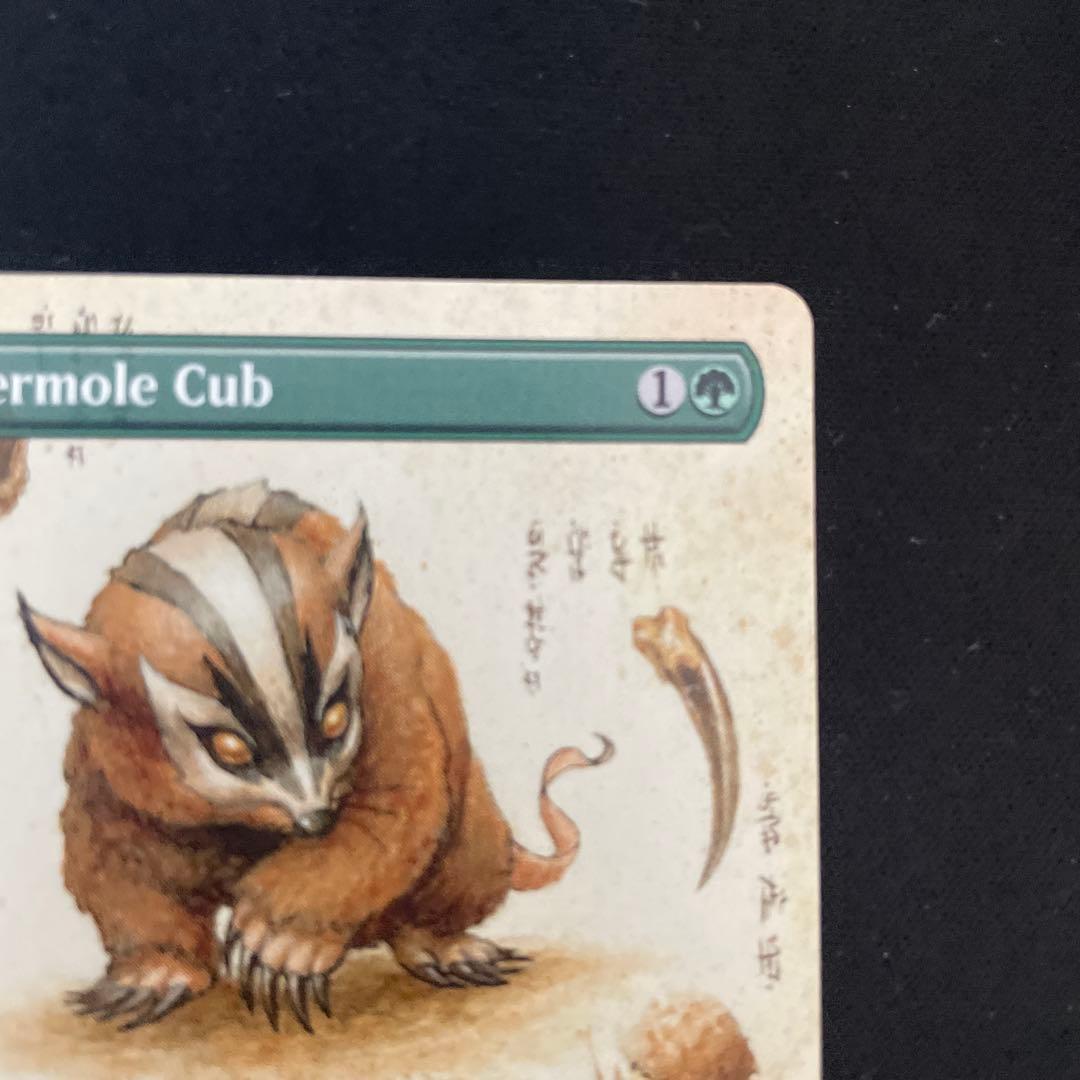 MTG アナグマモグラの子　英語　ボーダレス　Badgermole Cub