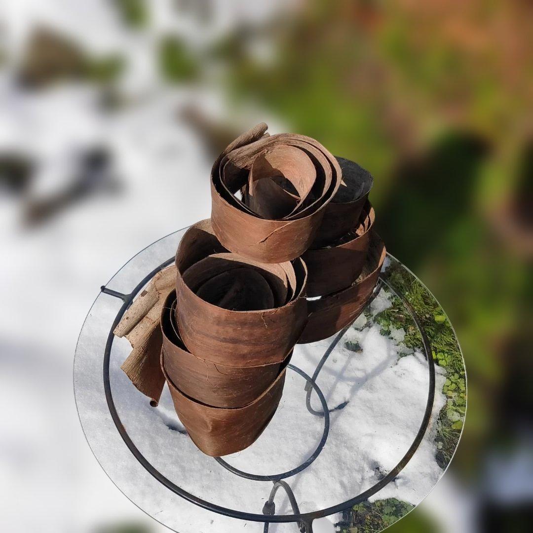 みっくん 胡桃 くるみ クルミ 皮 樹皮 約2kg