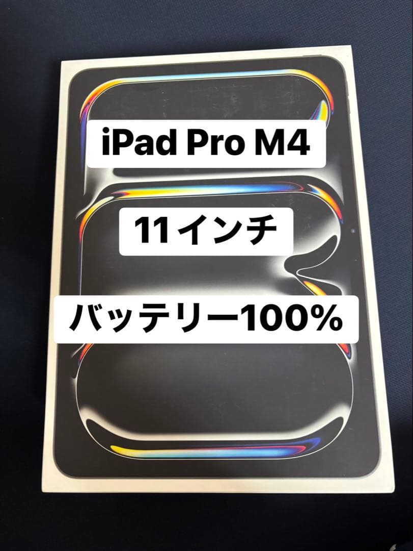 iPad Pro M4 11インチ バッテリー100% ソニー様