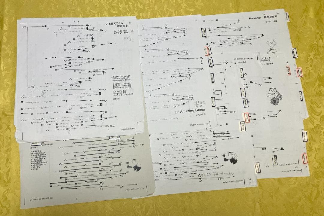 ペ*＊様 ドイツ製ヘルマンハープ　エントリーモデルMタイプ25弦　ケース他