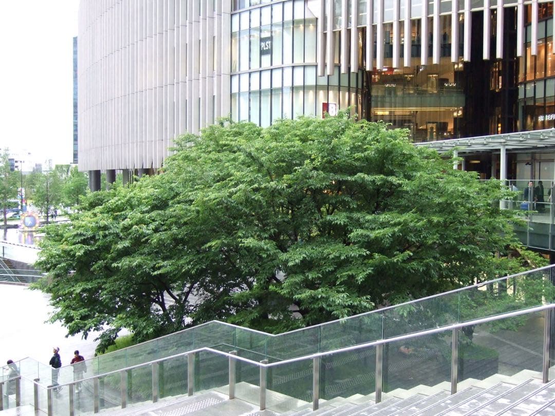 【作例あり】FUJIFILM finepix F30 CCDセンサー コンデジ