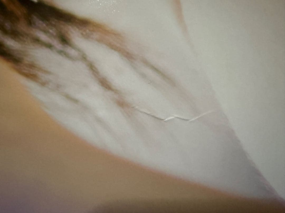 広瀬すずポスター【本人直筆サイン入り】【イベント限定特典】【非売品】在庫1点限り