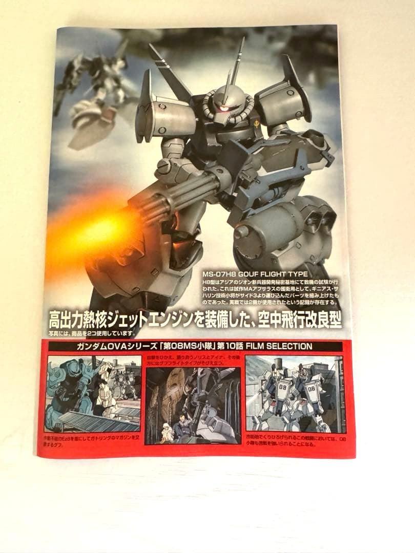 完成品　HG グフフライトタイプ
