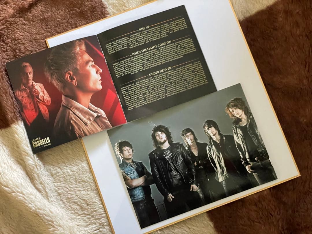 Asking Alexandria 直筆メンバー全員サイン入りジャケット 額縁付